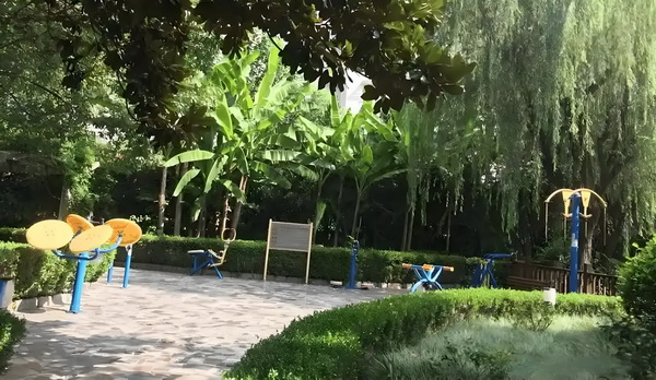 深圳入户口政策_佟丽娅儿子正脸曝光，五官气质超像爸爸 笑不等民得陈璐警也是哭